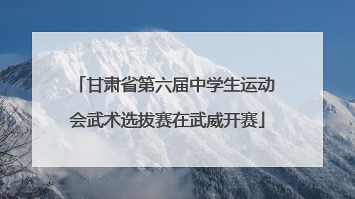 甘肃省第六届中学生运动会武术选拔赛在武威开赛